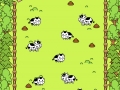 Cow Evolution