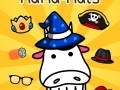 Cow Evolution