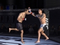EA Sports UFC