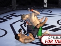 EA Sports UFC