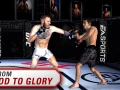 EA Sports UFC
