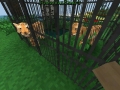 Survivalcraft