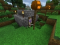 Survivalcraft