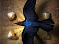 The Path of Kara